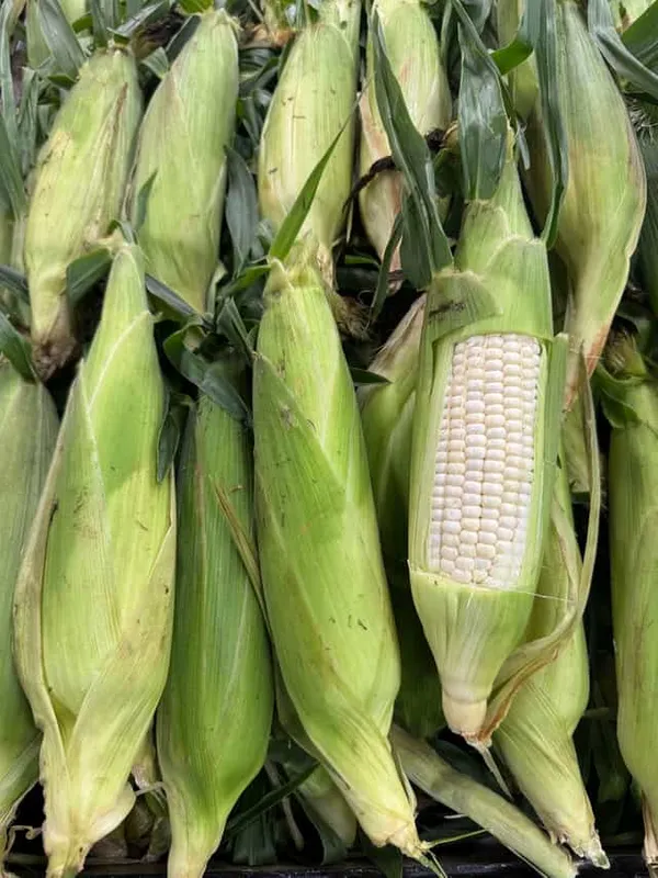 Corn