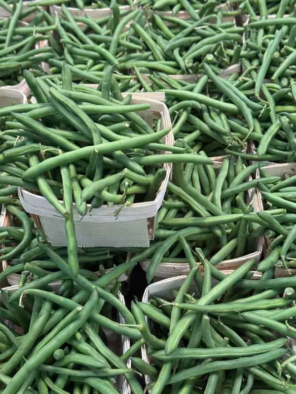 Green Beans