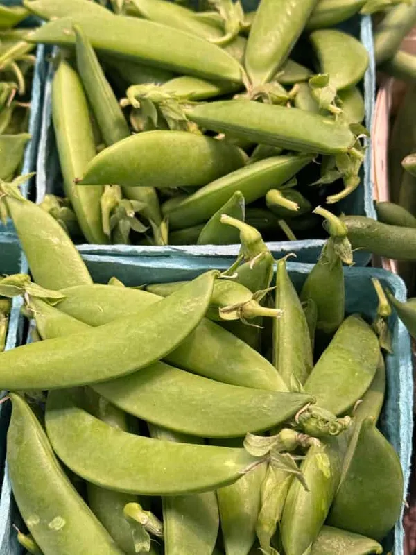 Snap Peas