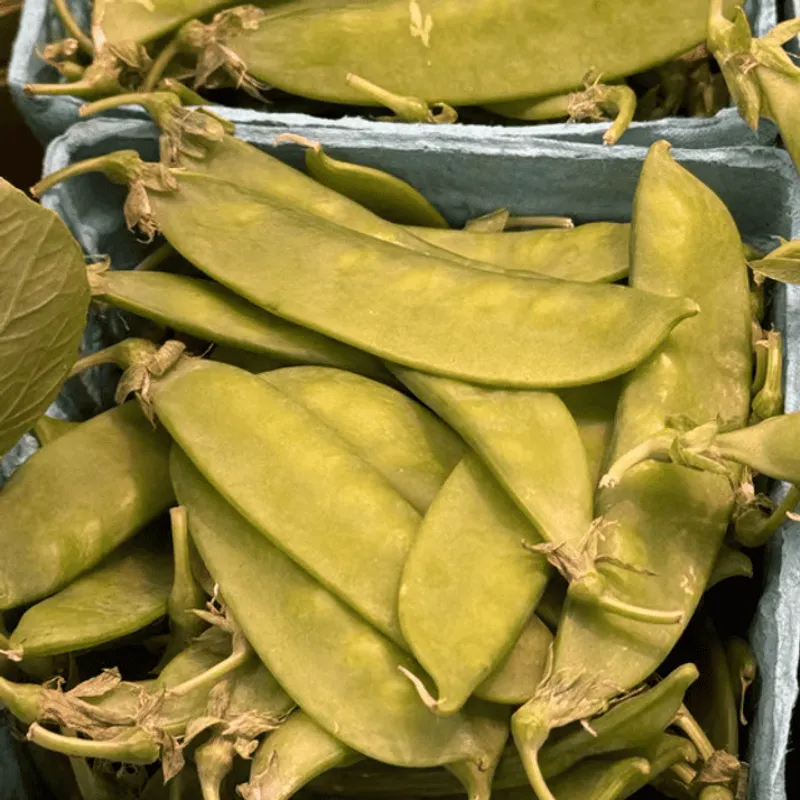 Snow Peas