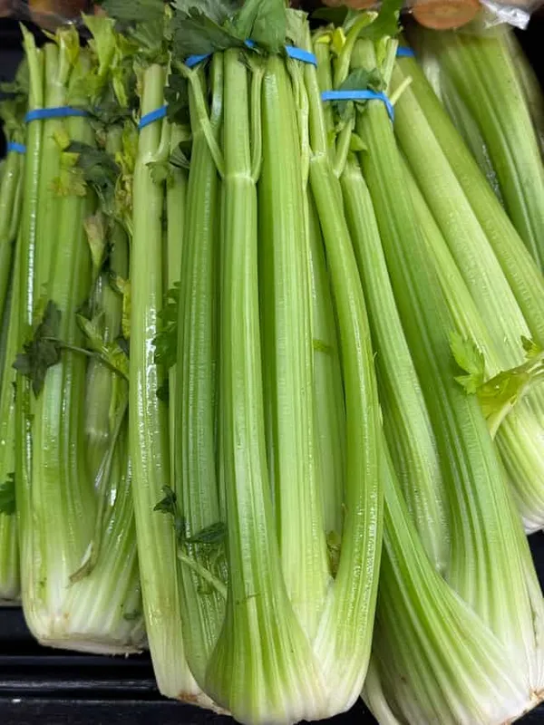 Celery