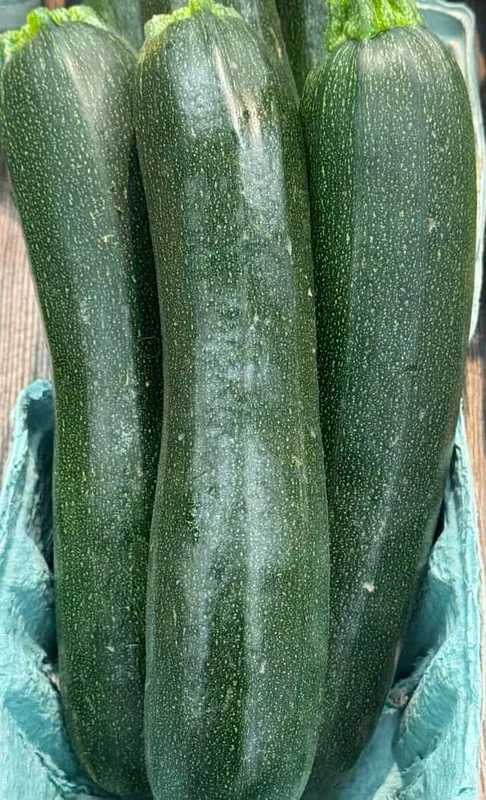 Zucchini Box (Small)