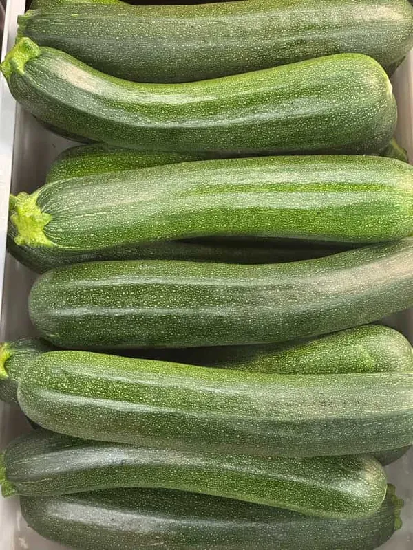 Zucchini (Large)