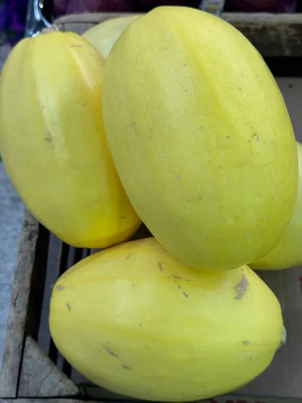 Spaghetti Squash