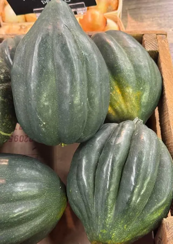 Acorn Squash