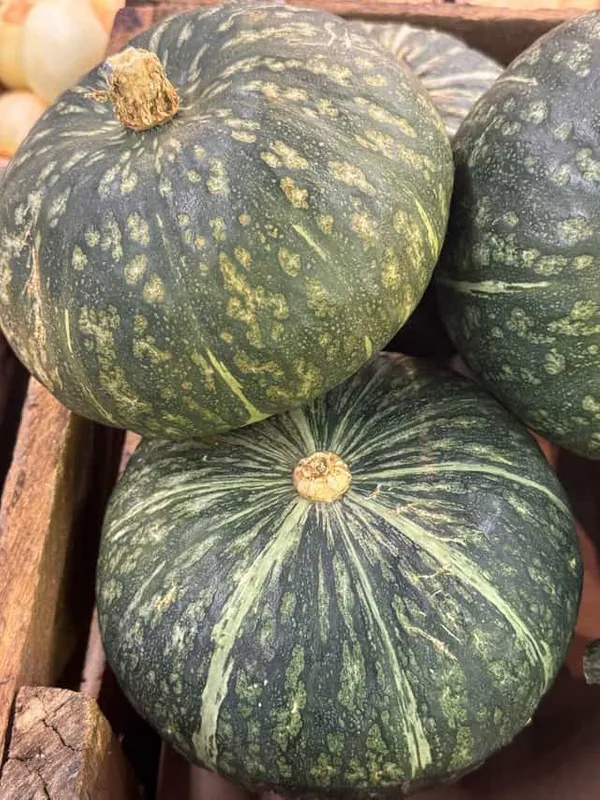 Kabocha Squash
