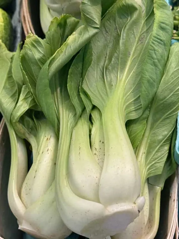 Bokchoy (Baby)