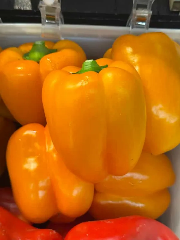Orange Bell Pepper