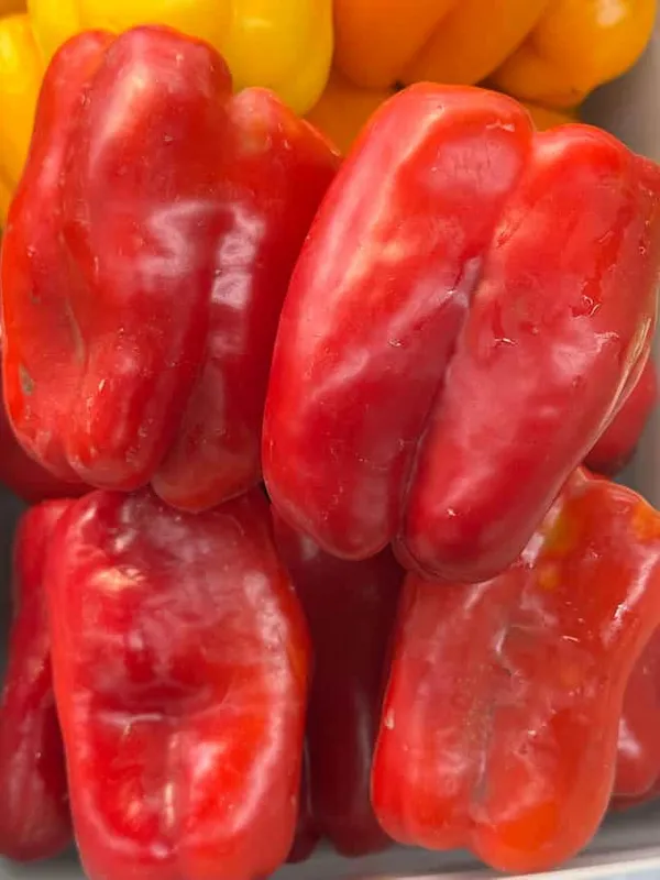 Red Bell Pepper