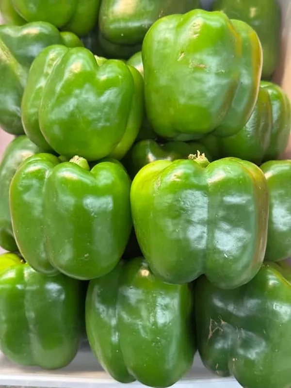 Green Bell Pepper