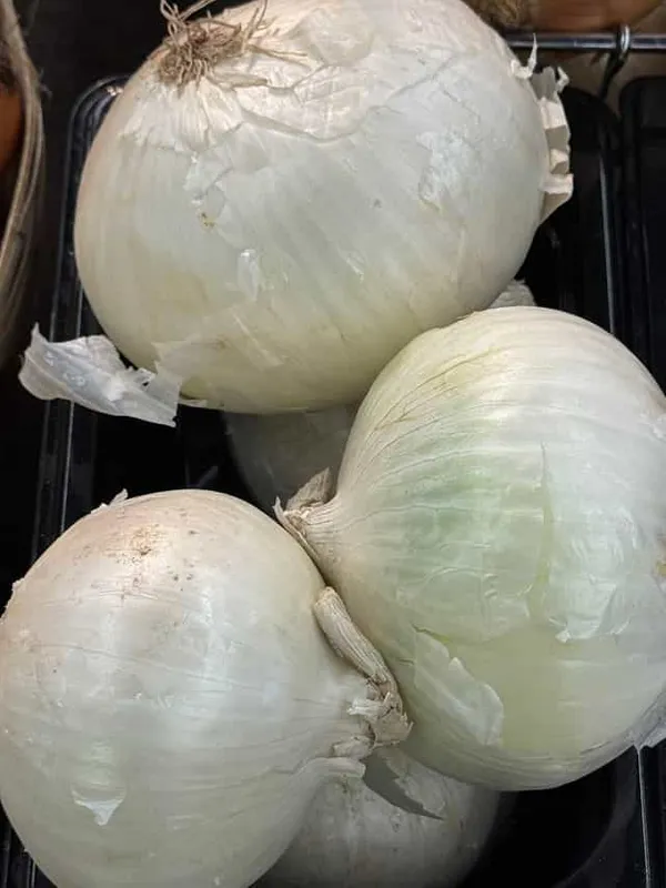 White Onion
