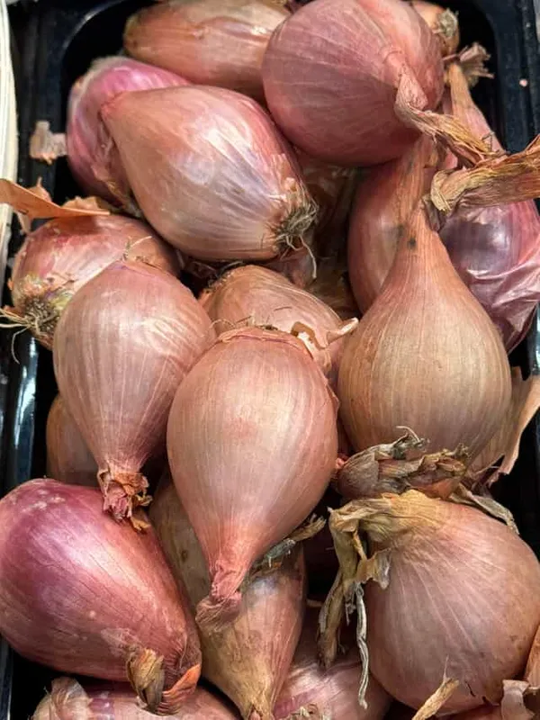 Shallots