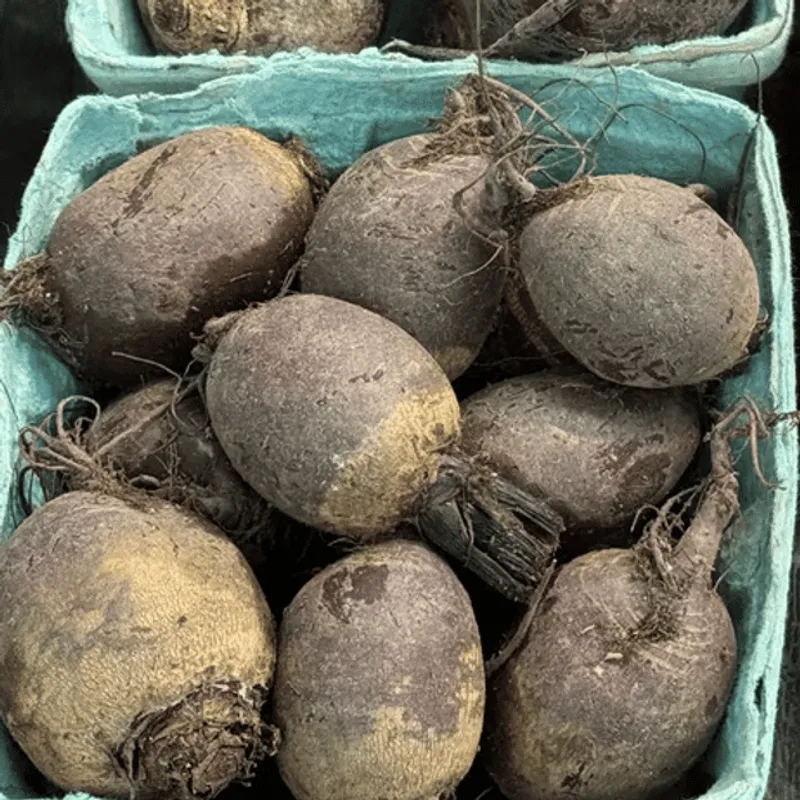 Red Beets