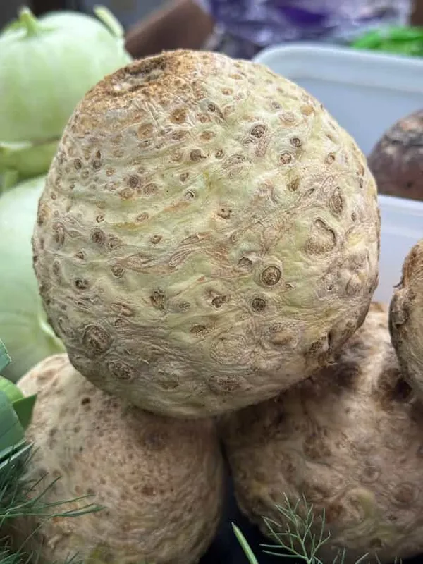 Celery Root