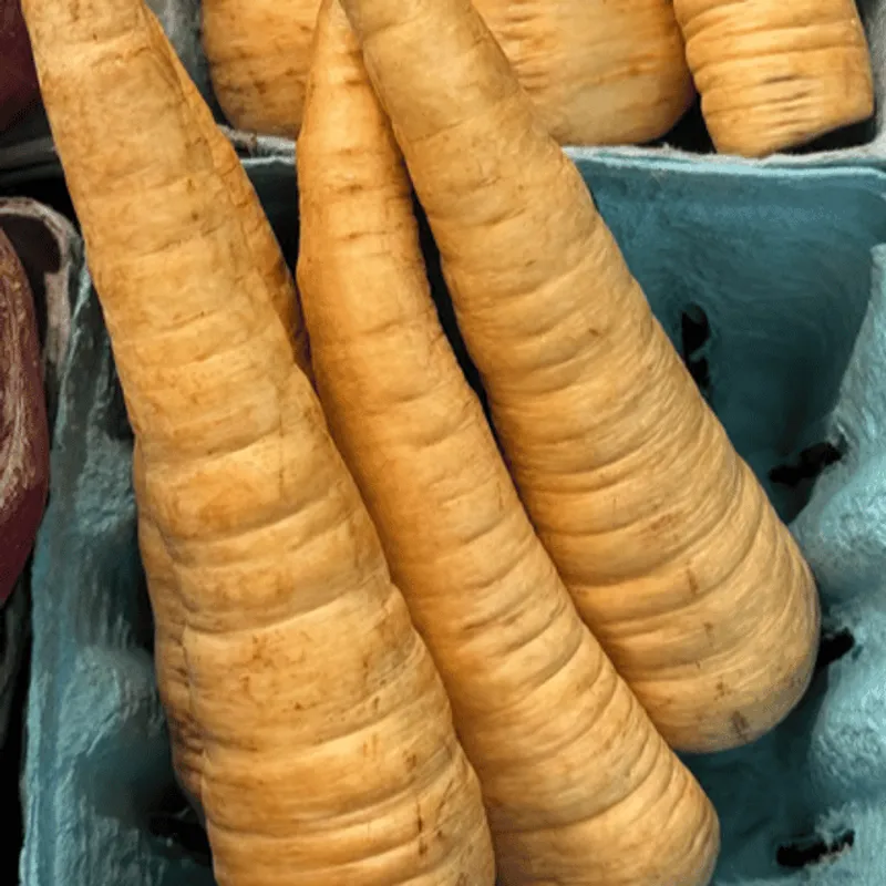 Parsnips