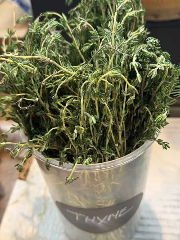 Thyme