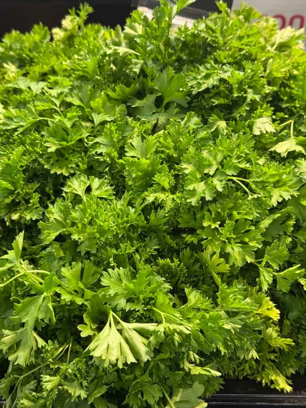 Parsley (Curly)