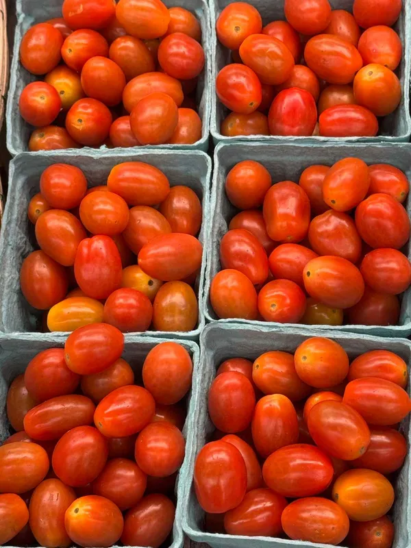 Grape Tomatoes