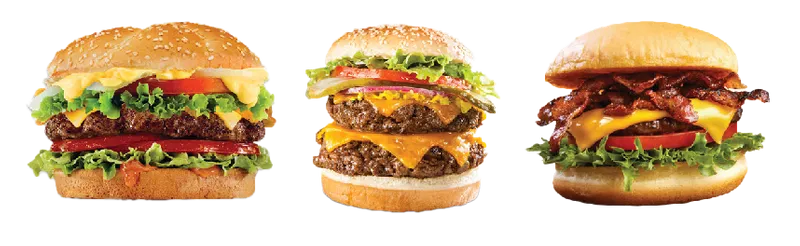 Single Cheese Burger