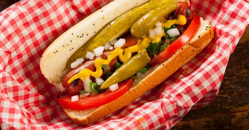 Chicago Dog