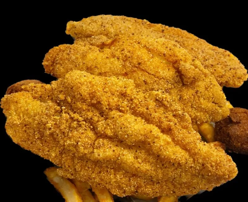 Catfish Fillet Meal