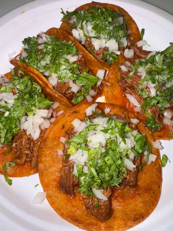 Birria Taco