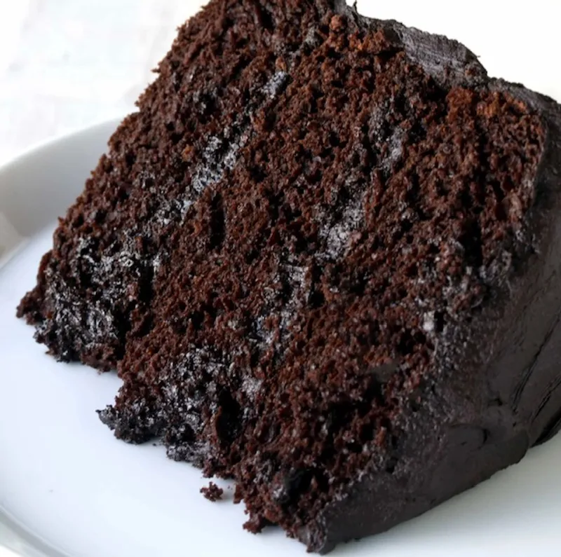Rich and Moist Chocolate Cake Slice
