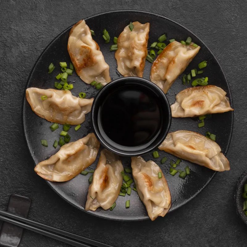 Teriyaki Chicken Dumpling