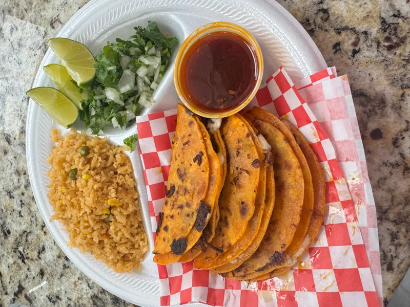 Birria Taco Plate
