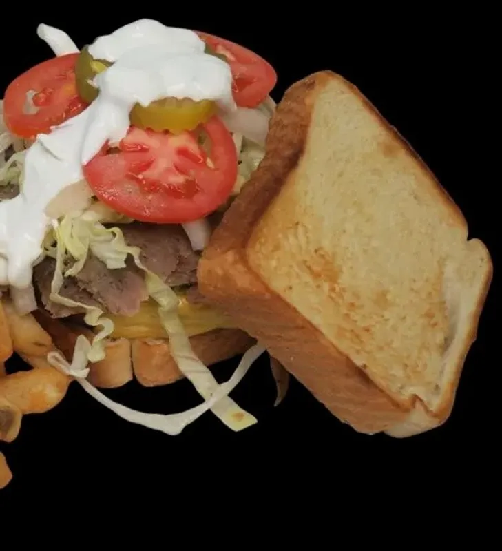 Gyro Steak Burger No Fries