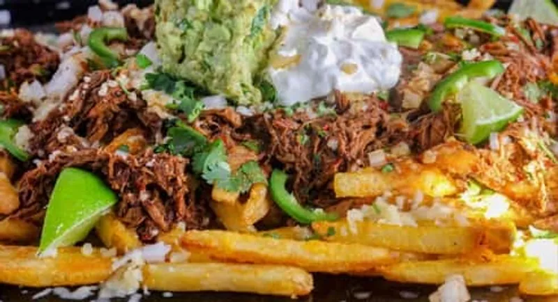 Birria Fries