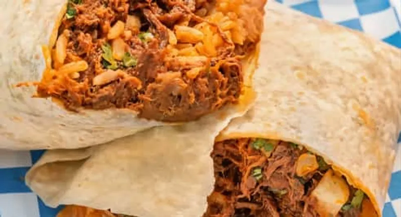 Birria Burrito