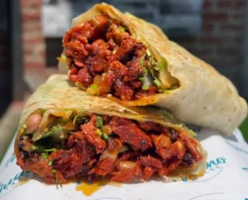 Chicken Burrito/ Pollo