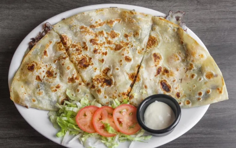 Chicken Quesadilla/ Pollo