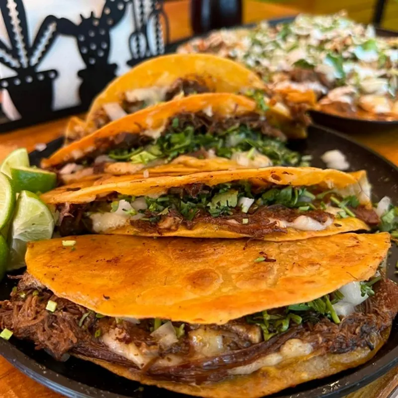 Quesabirria Tacos