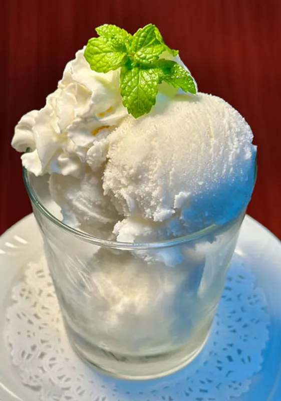 Homemade Coconut Ice Cream