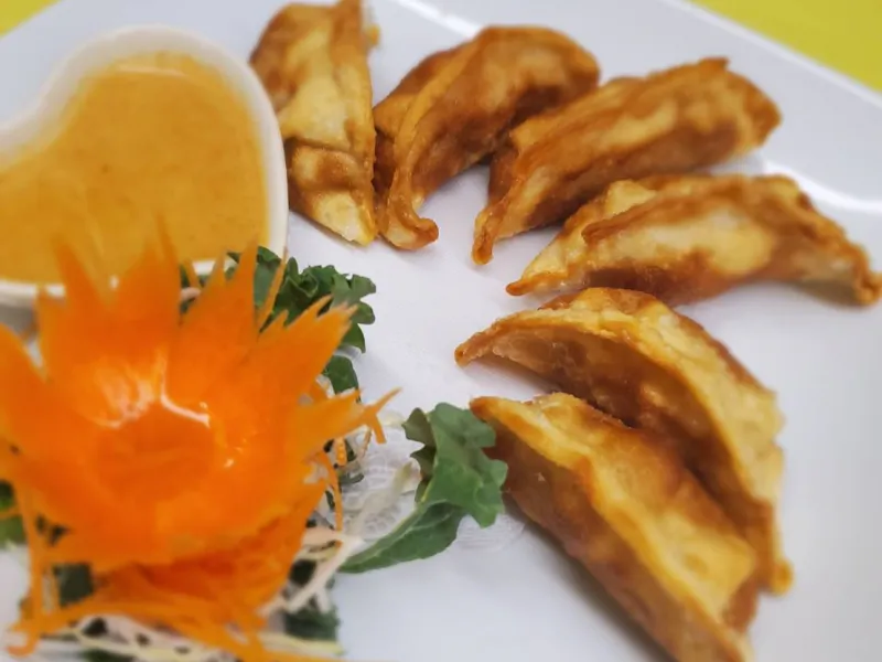 Gyoza