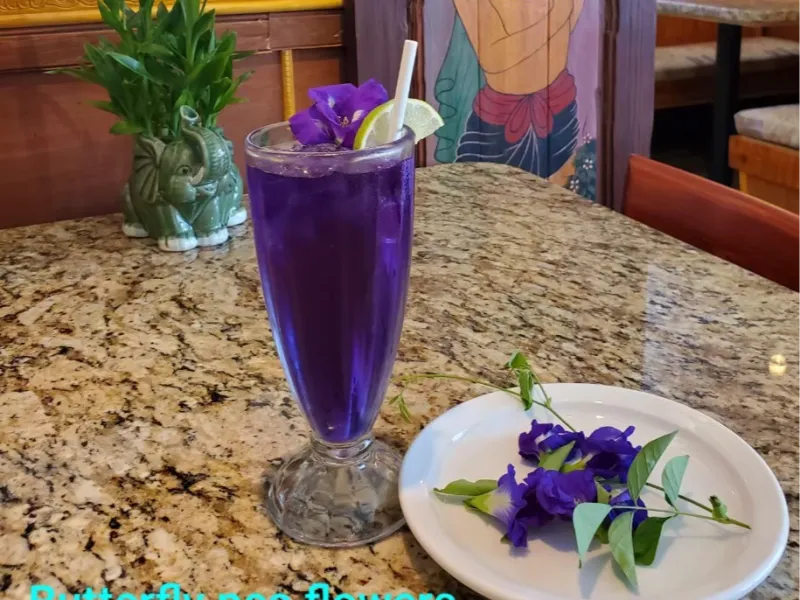 Butterfly Pea Flower
