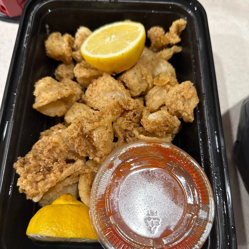 Fried Calamari