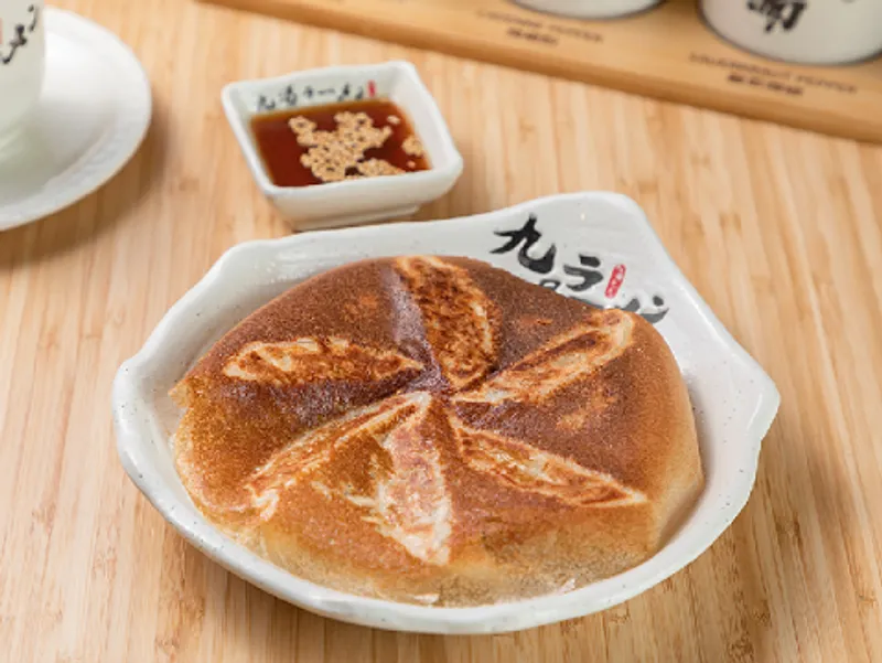 Pan Fried Gyoza Dumplings