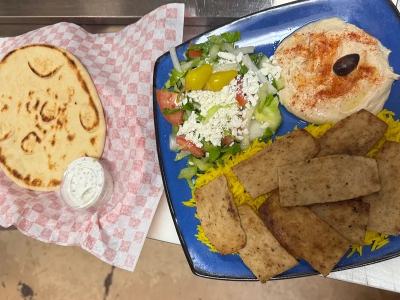 Gyro Plate