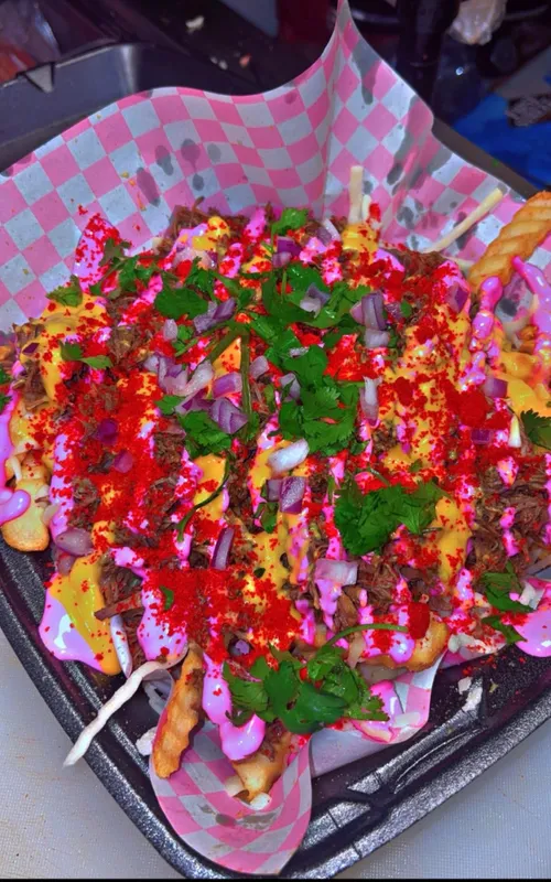 Birria Fries (Small)