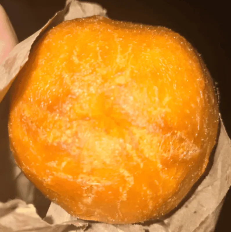 Fried Dumplings