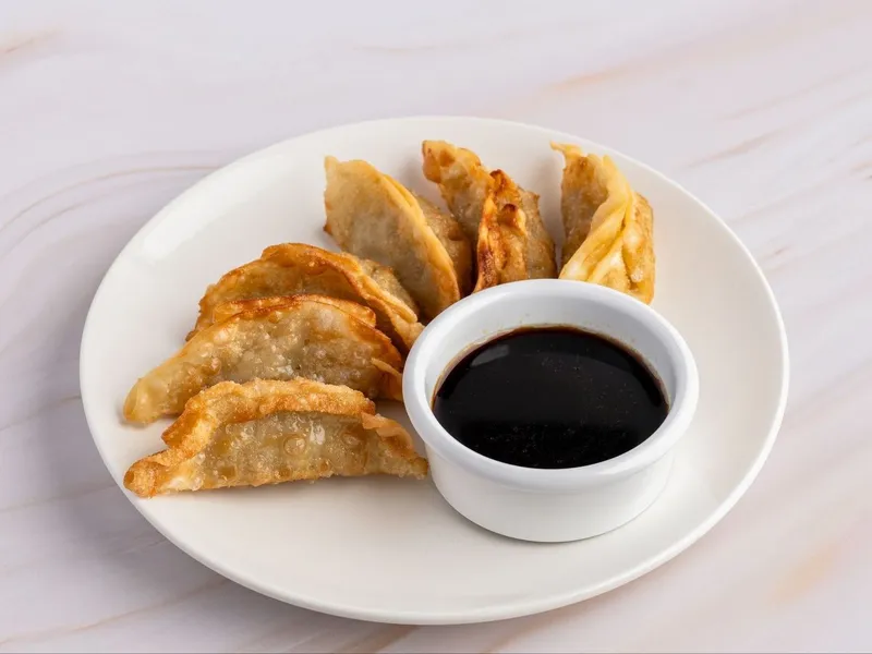 Chicken Dumplings