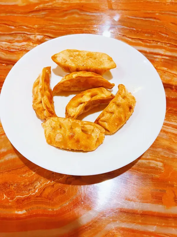 Pan Fried Dumplings (6)