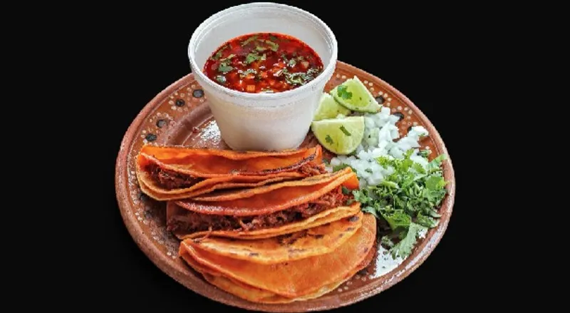 Birria Taco Combo