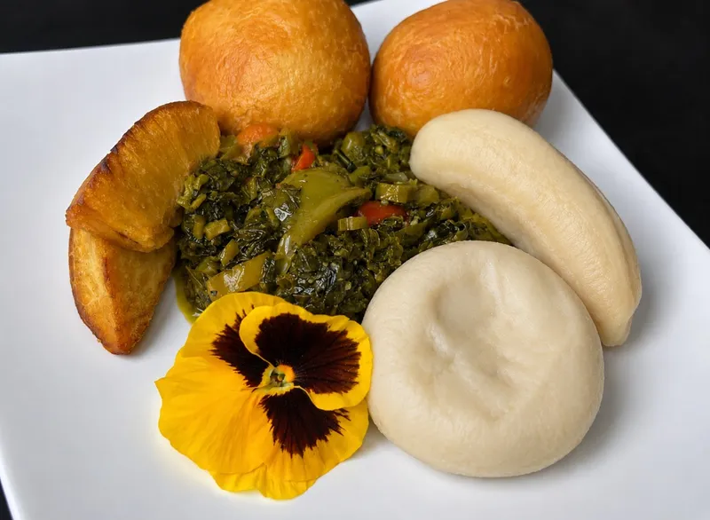 Fried Dumplings (2)