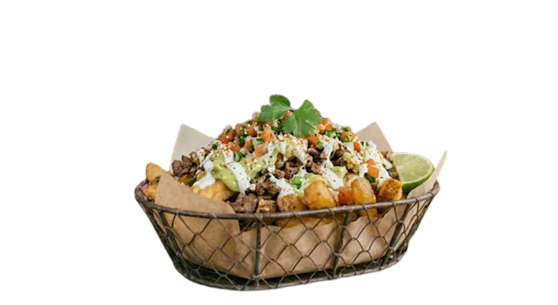 Carne Asada Fries