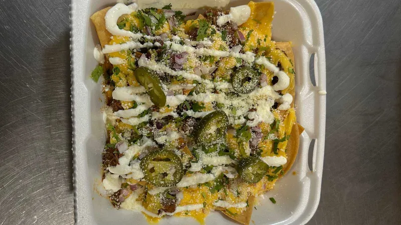 Birria-Nachos