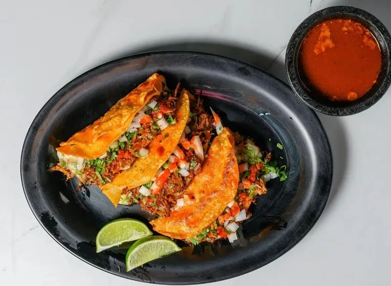 Quesobirria Tacos